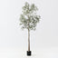 Bottle Tree