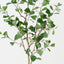 Triangular Ficus Tree (Set of 2 )