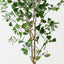 Triangular Ficus Tree (Set of 2 )