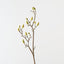 Magnolia Bud Spray (Set of 12)