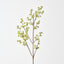 Sedum Spray (Set of 12)