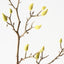 Magnolia Bud Spray (Set of 12)