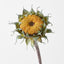 Sunflower Core (Set of 12)