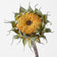 Sunflower Core (Set of 12)