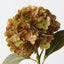 Hydrangea (Set of 12 )