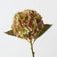 Hydrangea (Set of 12 )