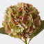 Hydrangea (Set of 12 )