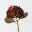Hydrangea (Set of 12 )