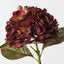 Hydrangea (Set of 12 )