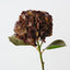 Hydrangea (Set of 12 )