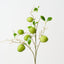 Milkweed Spray (Set of 12)