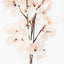 Bougainvillea Spray (Set of 12)