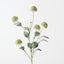Thistle Spray (Set of 12)