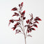 Ficus Leaf Spray (Set of 12)