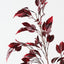 Ficus Leaf Spray (Set of 12)
