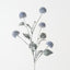 Thistle Spray (Set of 12)