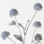 Thistle Spray (Set of 12)