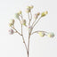 Fig Spray (Set of 12)