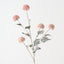 Thistle Spray (Set of 12)