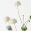 Thistle Spray (Set of 12)