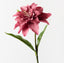 Roselily (Set of 12)
