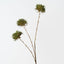 Moss Pom Pom Spray (Set of 12 )