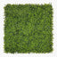 2 x Boxwood Vertical Garden (UV)