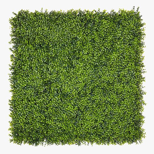 2 x Boxwood Vertical Garden (UV)