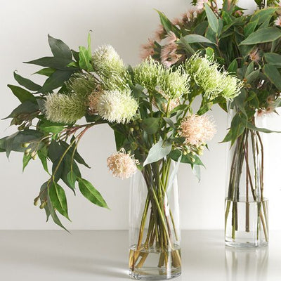 12 x Protea Leucospermum