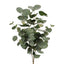 6 x Eucalyptus Flowering Spinning Gum Bush