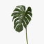12 x Monstera Leaf