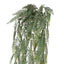 12 x Fern Hanging Bush
