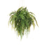 Fern Mixed Ball Hanging