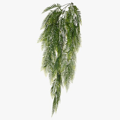 12 x Fern Hanging Bush