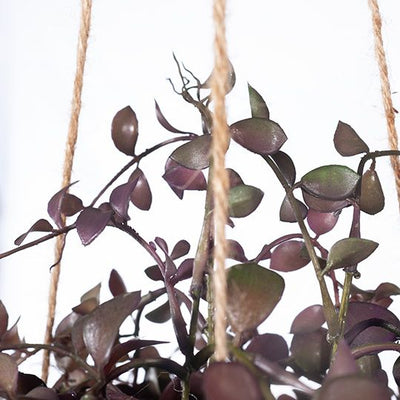 2 x Fern Button Hanging Bowl