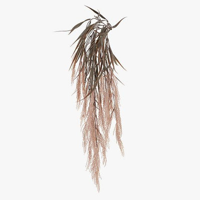 Plume Grass Hanging Bush Pack of 6