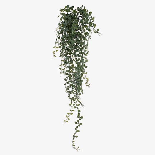 12 x Fern Button Hanging Bush