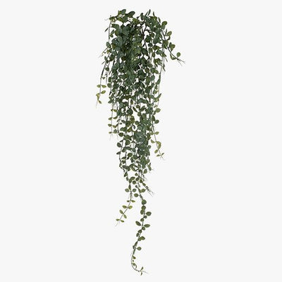 12 x Fern Button Hanging Bush