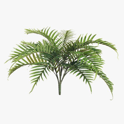 6 x Palm Areca Bush