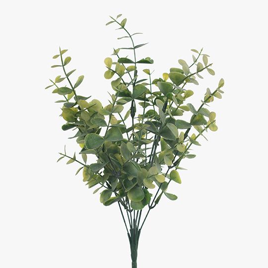 12 x Eucalyptus Bush