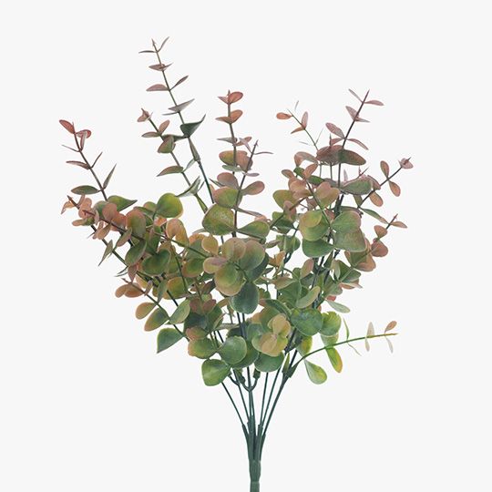 Eucalyptus Bush Pack of 12