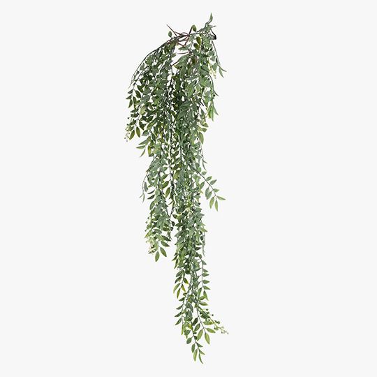 Wattle Hanging Bush Pack of 6