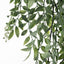 Wattle Hanging Bush Pack of 6