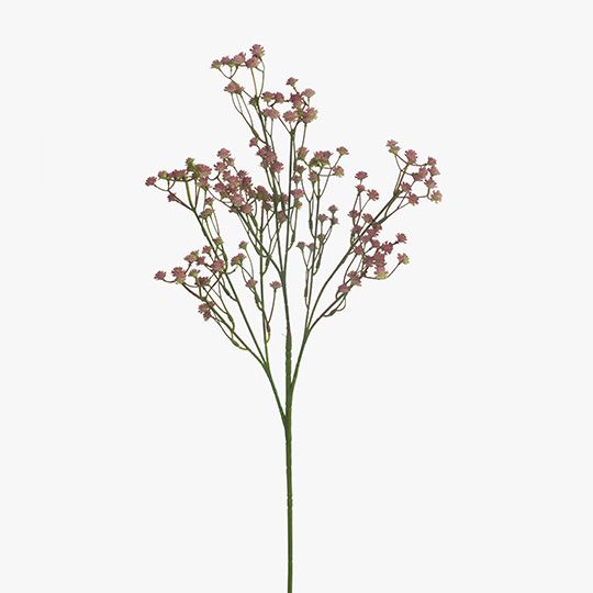 Babys Breath Spray Pack of 12