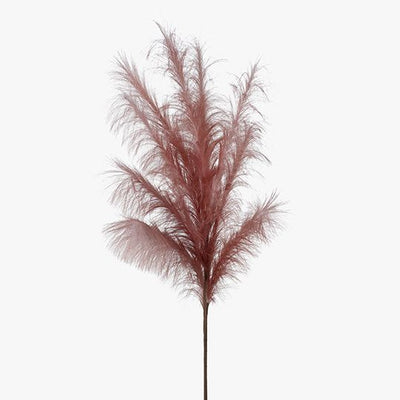 Pampas Grass Spray Pack of 12