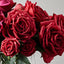 12 x Rose Bella