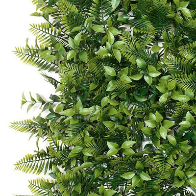 2 x Fern Sword Mixed Vertical Garden (UV)