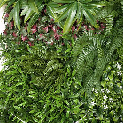 2 x Fern Lush Mixed Vertical Garden (UV)