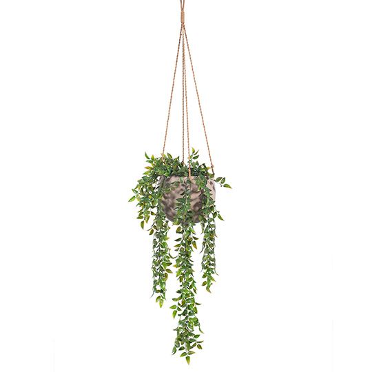 Pot Flo Hanging Pack of 2