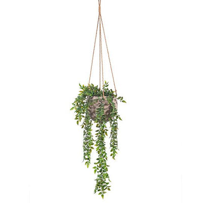 Pot Flo Hanging Pack of 2